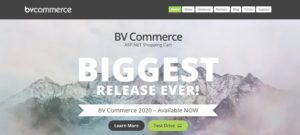 bvscreen